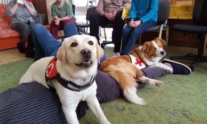 Ako zvieratá pomáhajú (nielen) seniorom